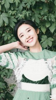 带叶的明星,探寻带叶明星的独特魅力