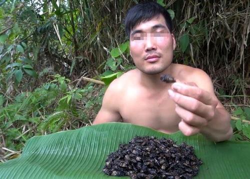 网红直播吃虫子视频,勇气可嘉！